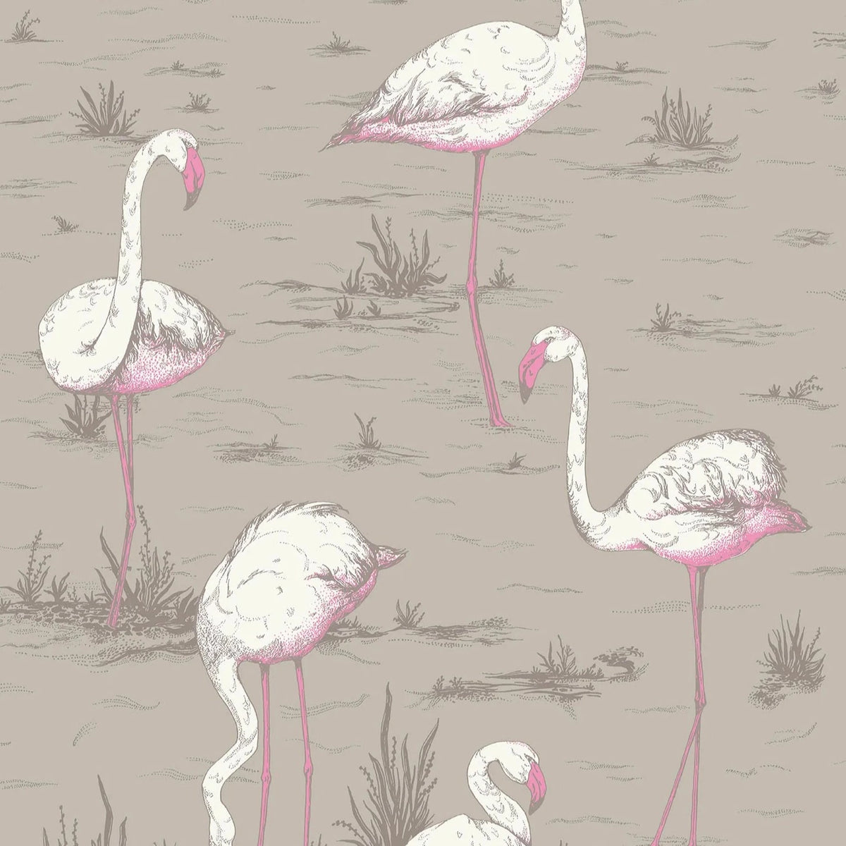 Flamingo Print Wallpaper at Rs 80/square feet