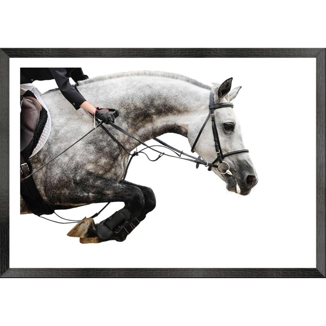 Equestrian Jump Wall Art Print