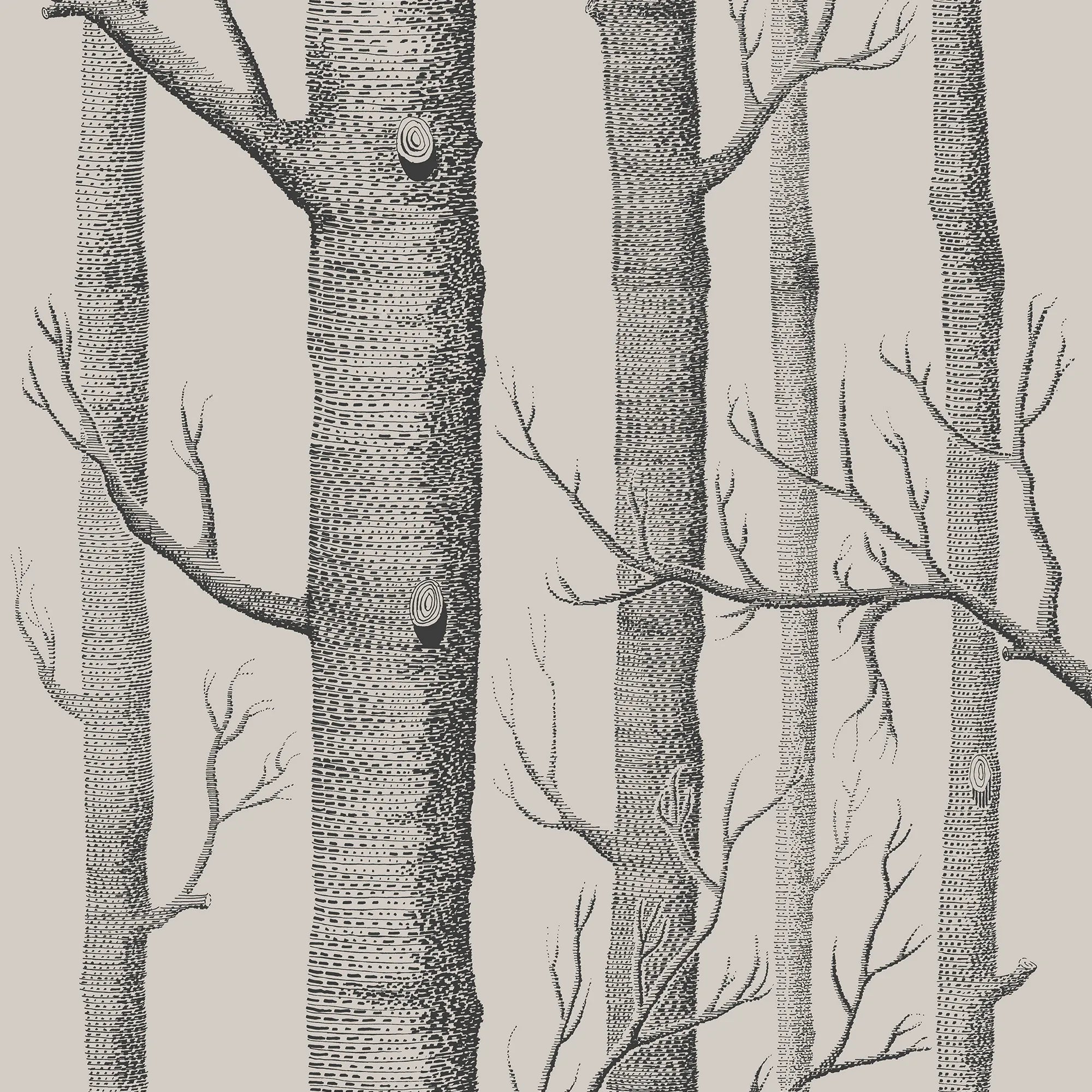 Cole & Sons Whimsical Woods