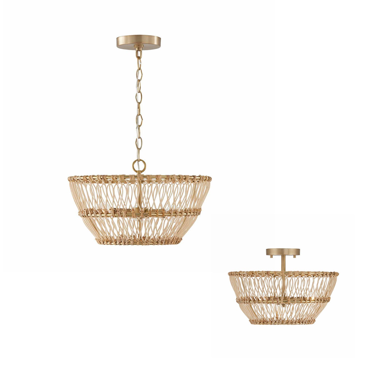 Wren Dual Mount Semi-Flush Light