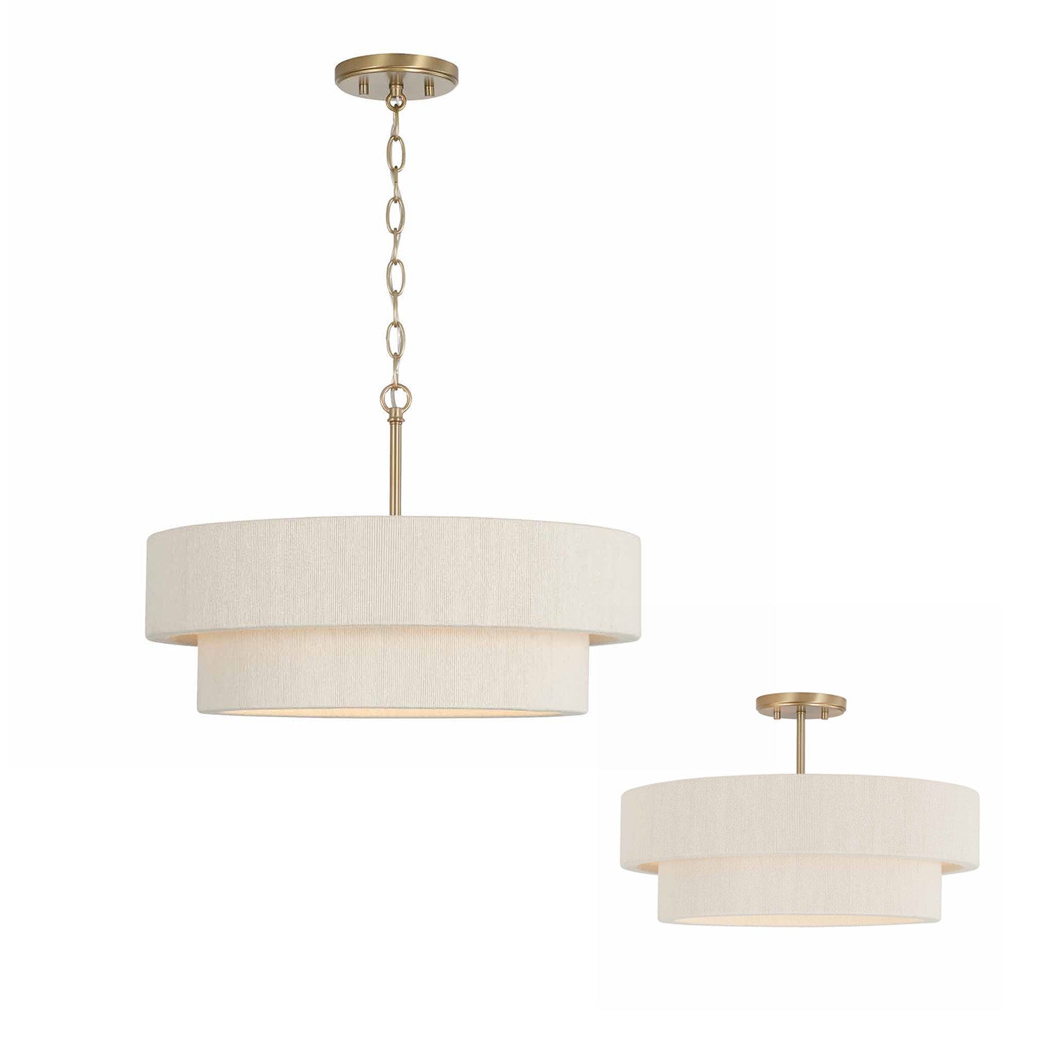 Delaney 4-Light Dual Mount Pendant