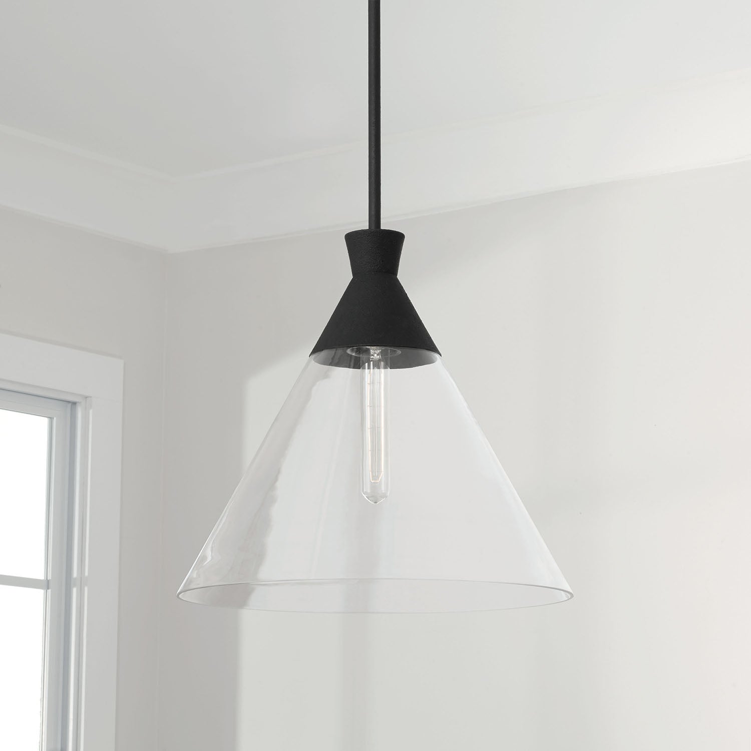 Paloma 1-Light Clear Glass Pendant