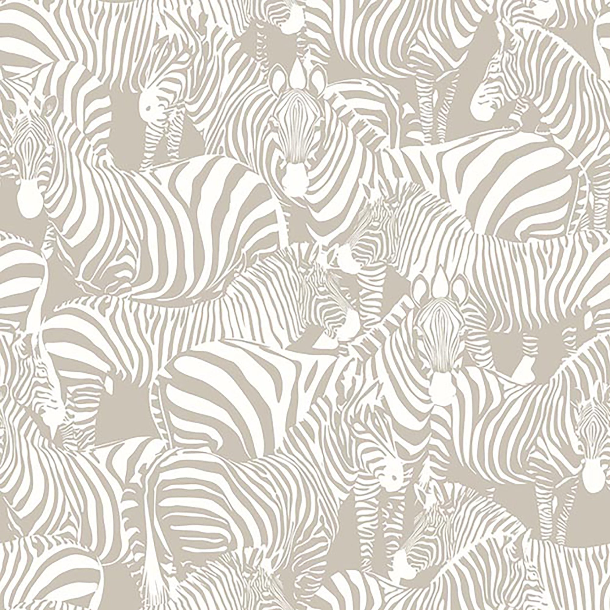 Treasure 6000 (Double Roll) Wallpaper