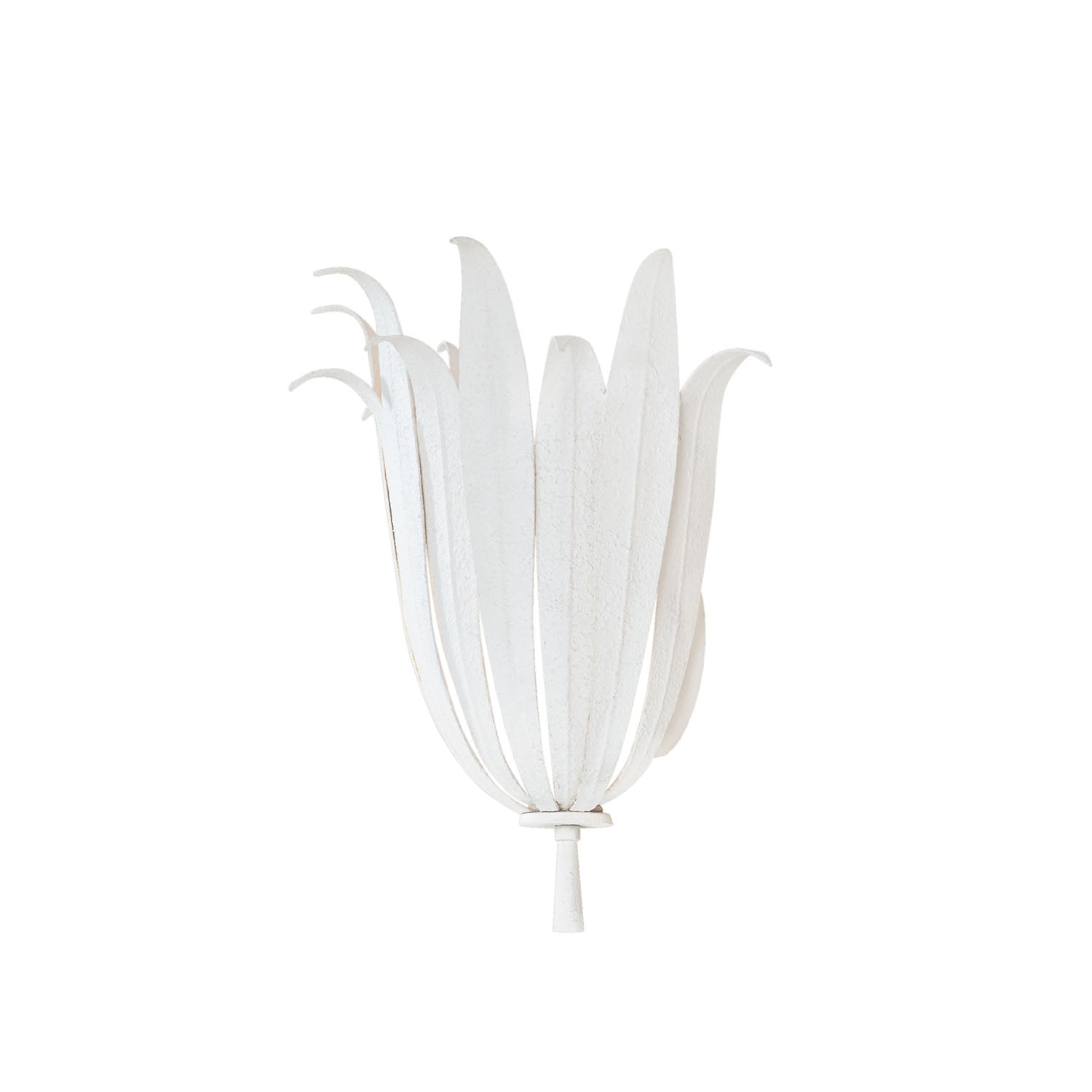 Eden 1-Light Sconce