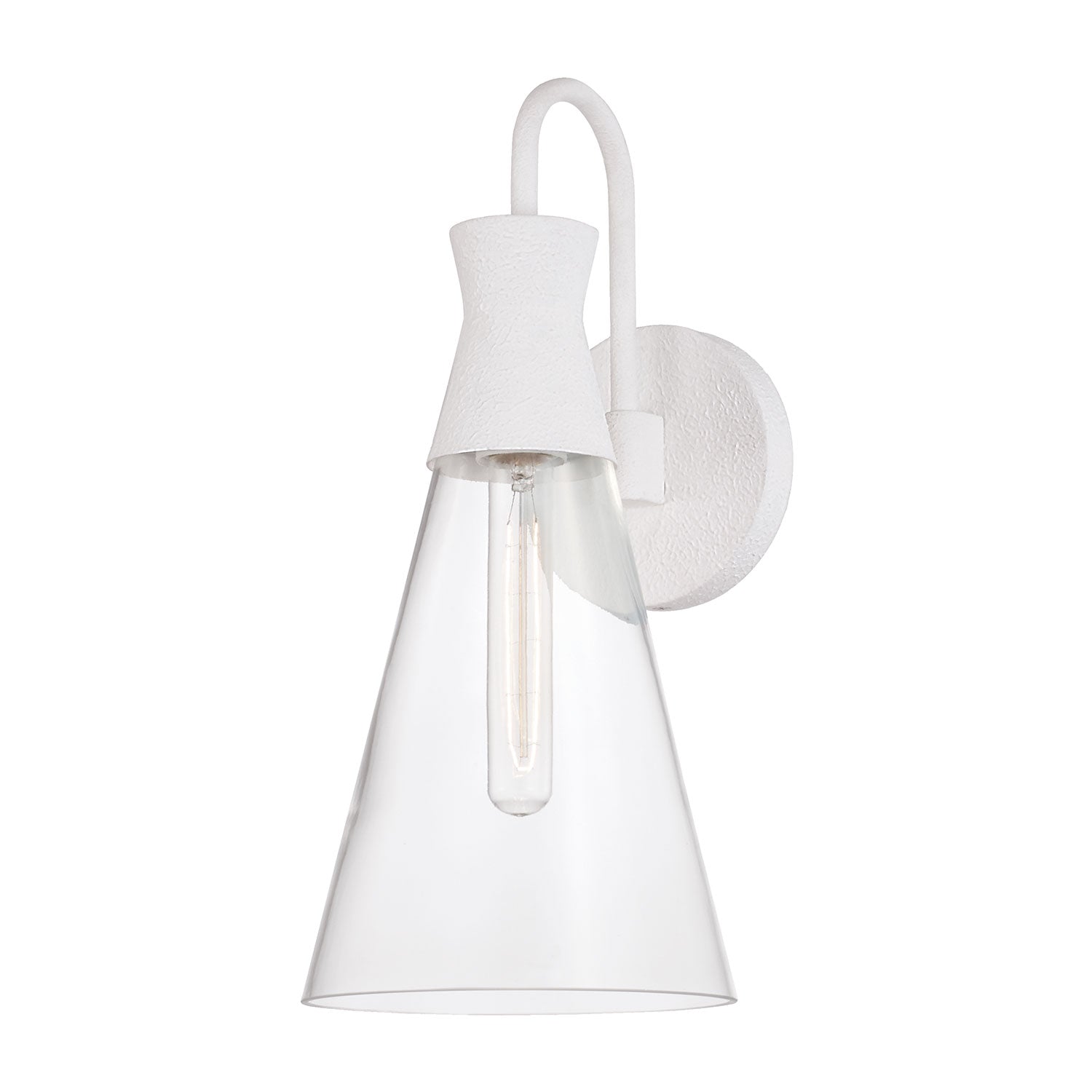 Paloma 1-Light Wall Sconce Light