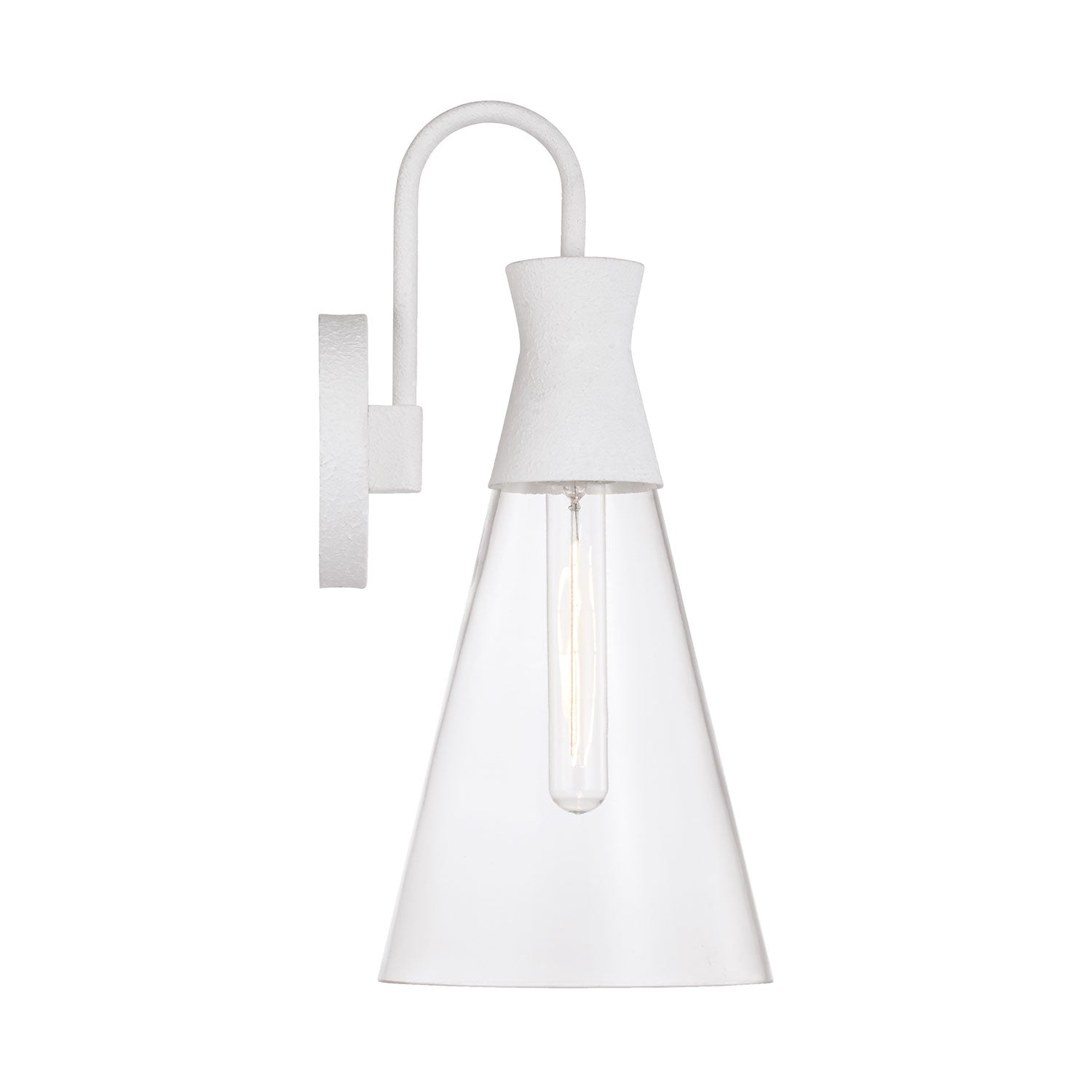 Paloma 1-Light Wall Sconce Light