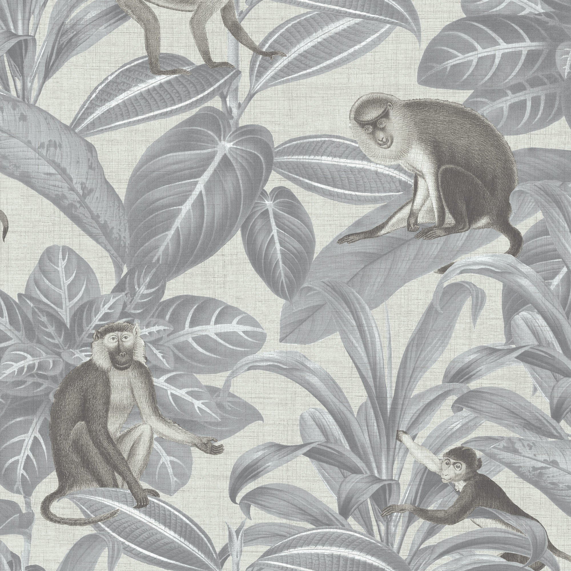 Monkey Foliage Wallpaper