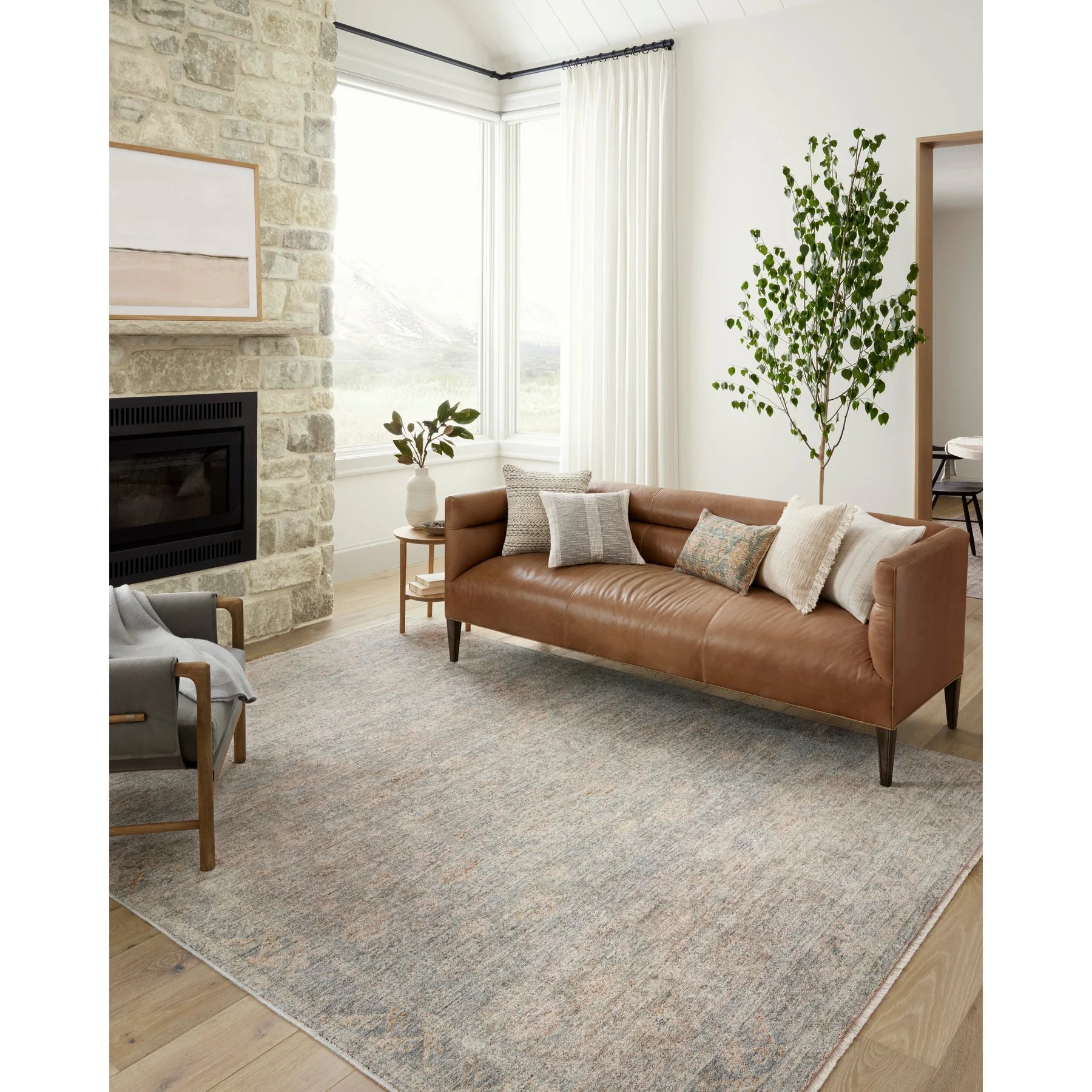 Blake Rug Angela Rose x Loloi | Sky / Beige