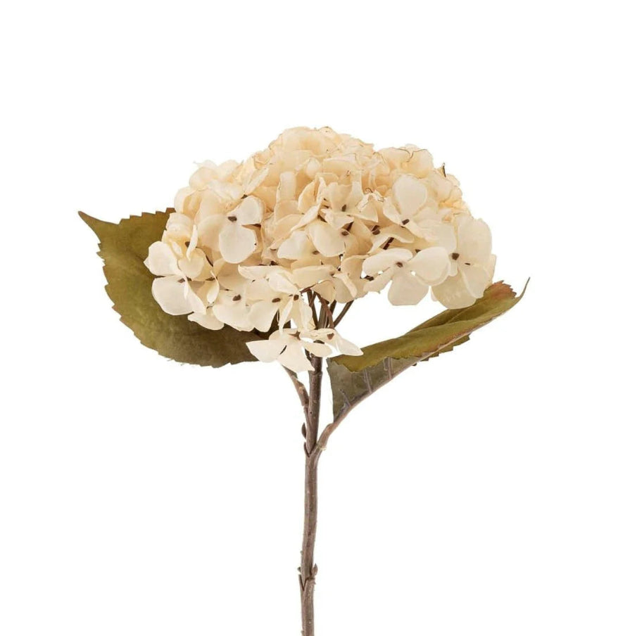 Cream Hydrangea Floral Stem - Reimagine Designs Canada