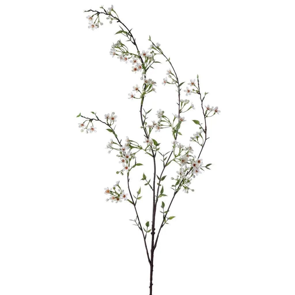 CreamWaxFlowerSpray