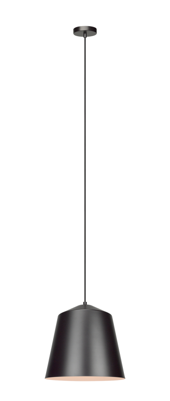 Encase Pendant Light, 12"