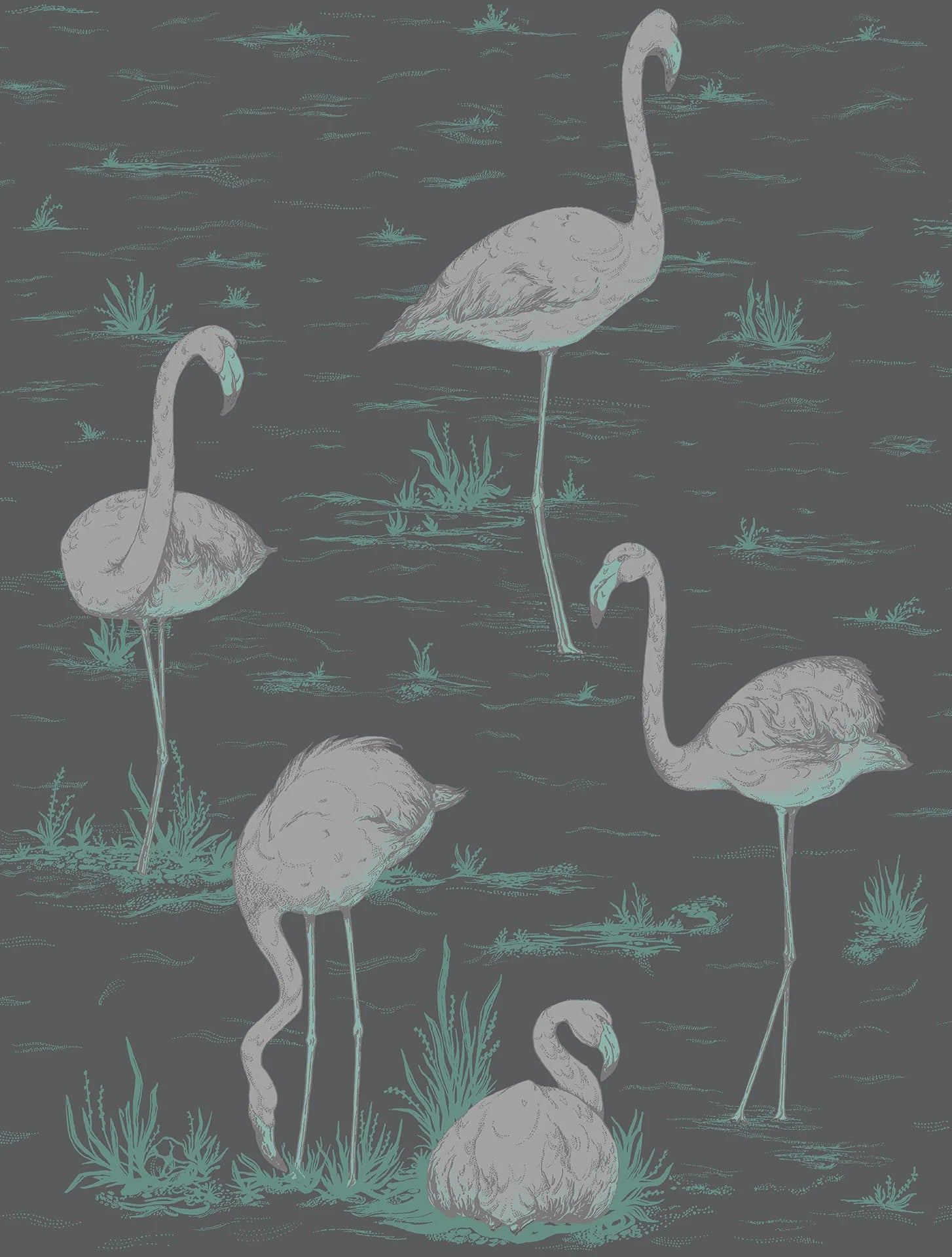 Cole & Sons Flamingos Wallpaper Collection
