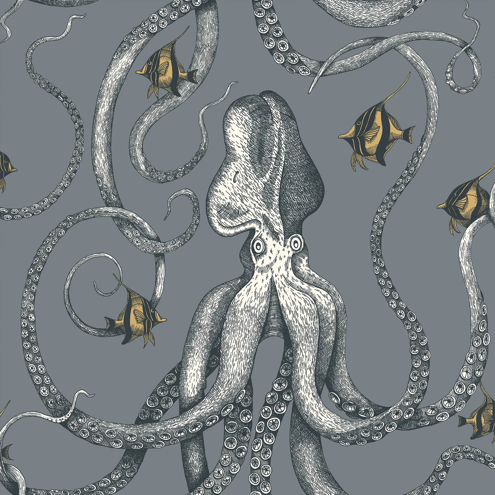Josephine Munsey Octopoda Grand Wallpaper