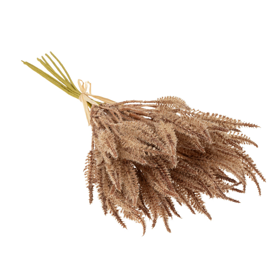 Mini Pampas Grass Bundle, Light Brown - Reimagine Designs Canada