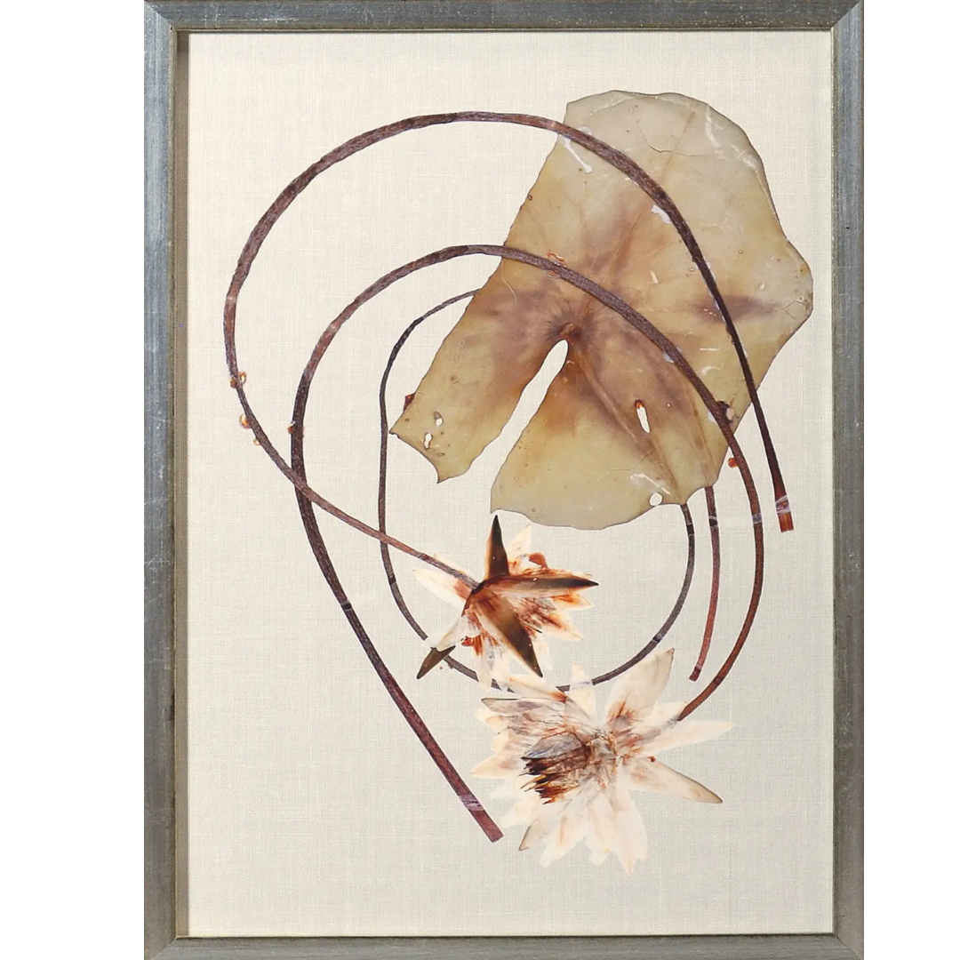 Herbarium Pressings Wall Art Collection