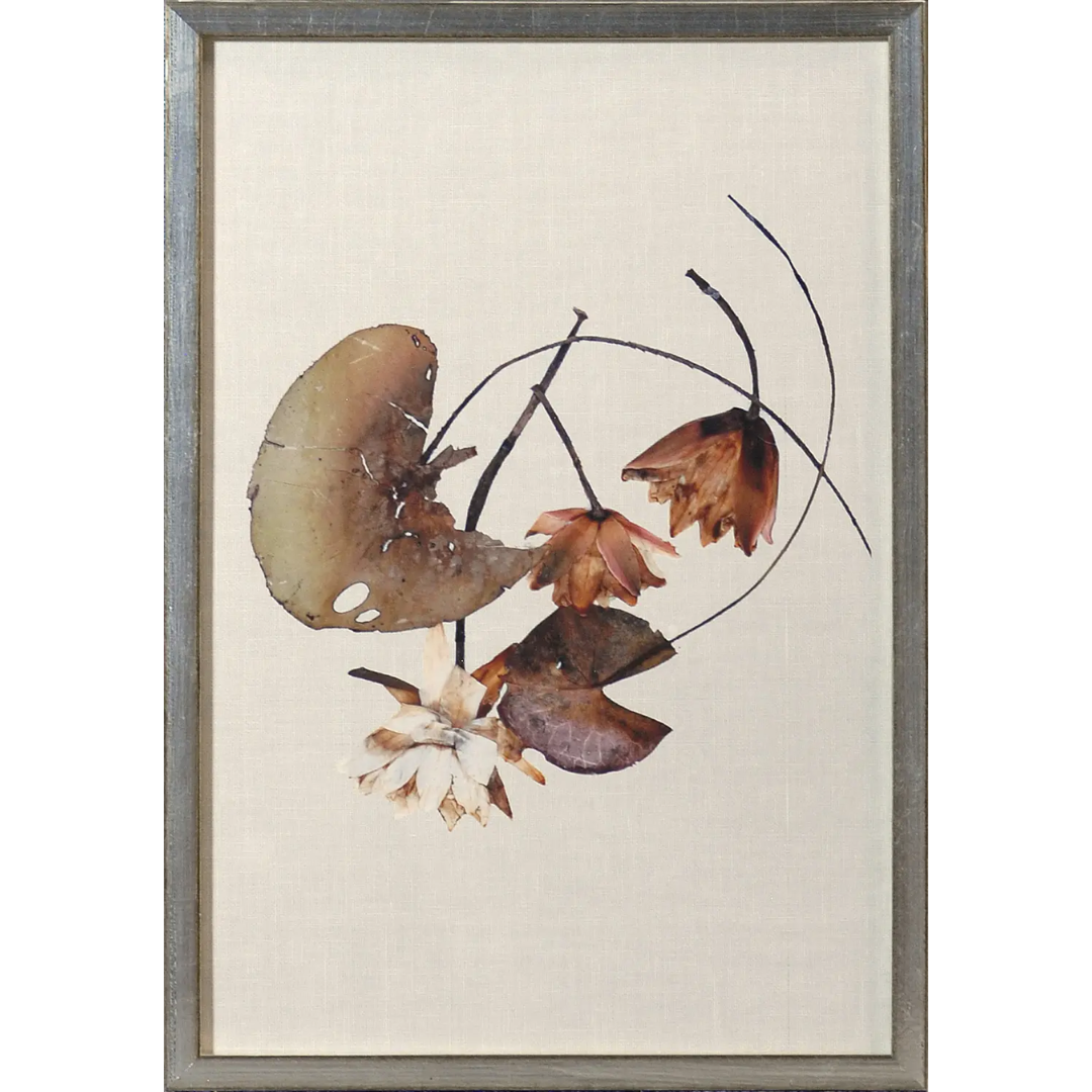 Herbarium Pressings Wall Art Collection