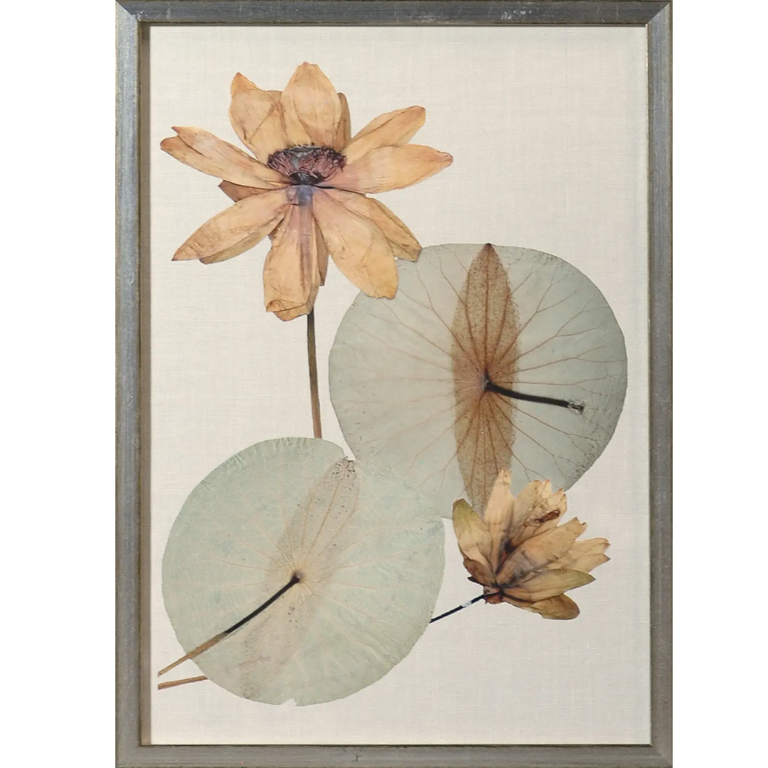 Herbarium Pressings Wall Art Collection