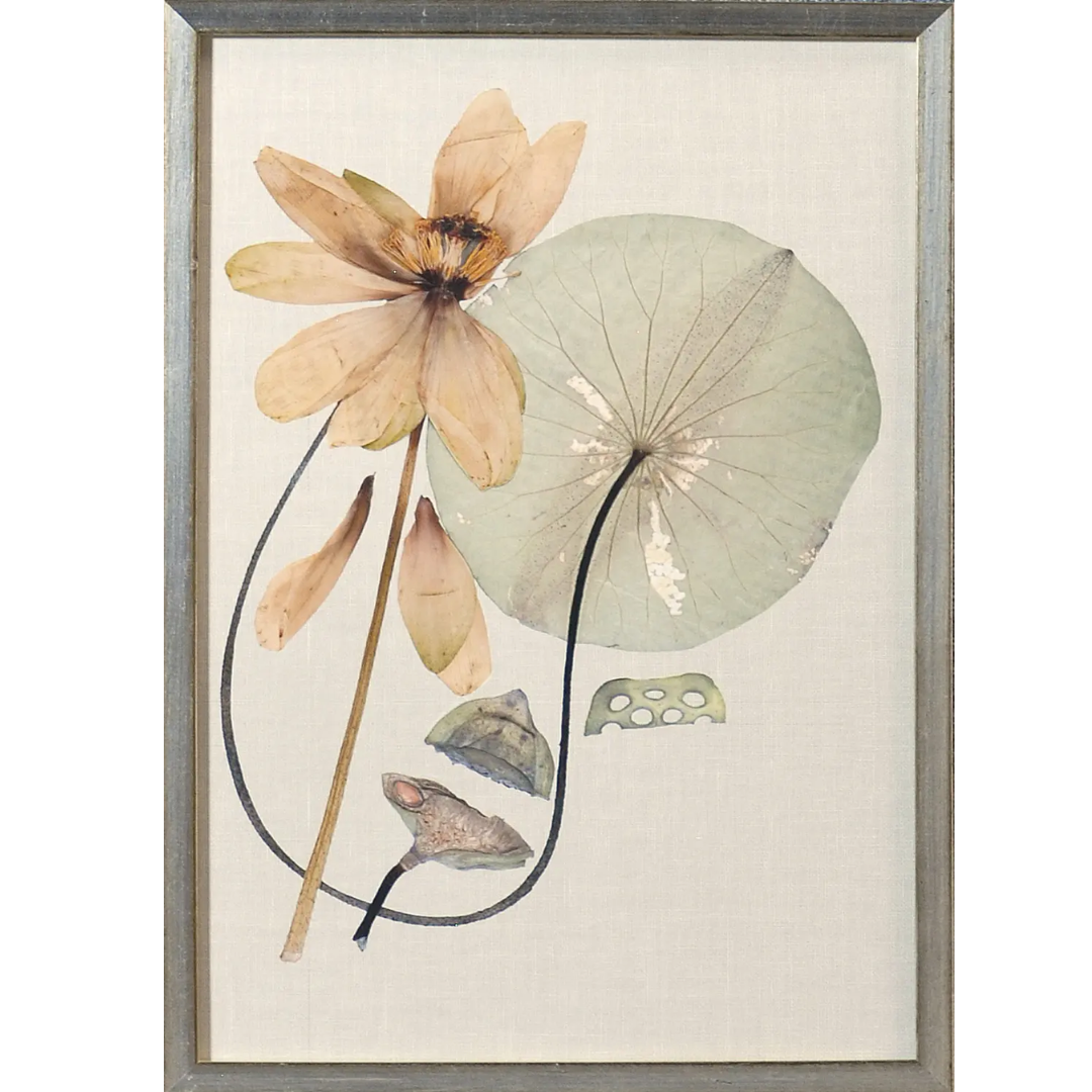 Herbarium Pressings Wall Art Collection
