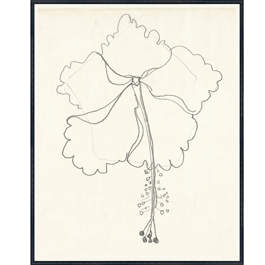 Floral Contourby Reijor Stolk c.1800 Wall Art Prints