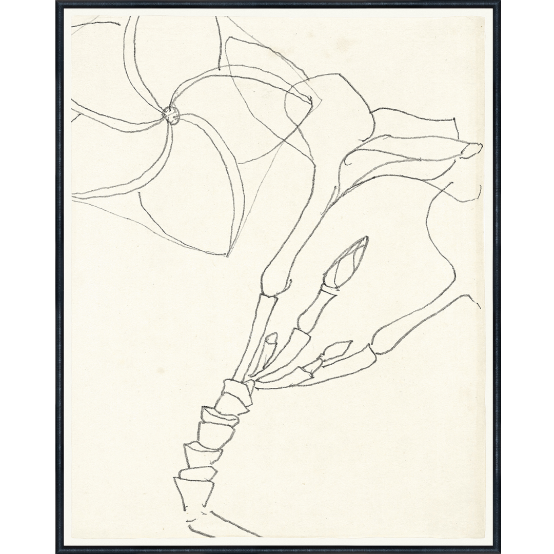Floral Contourby Reijor Stolk c.1800 Wall Art Prints