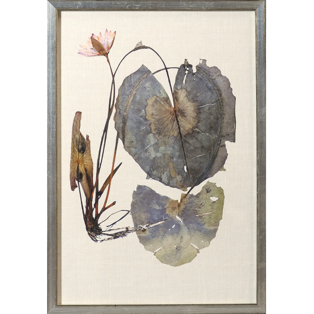 Herbarium Pressings Wall Art Collection