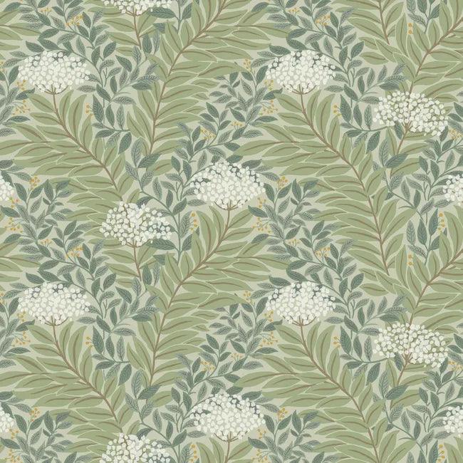 Rifle Paper Co Highgrove W4297 Wallpaper