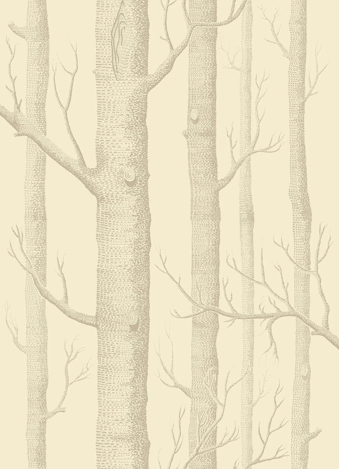 Cole & Sons Whimsical Woods