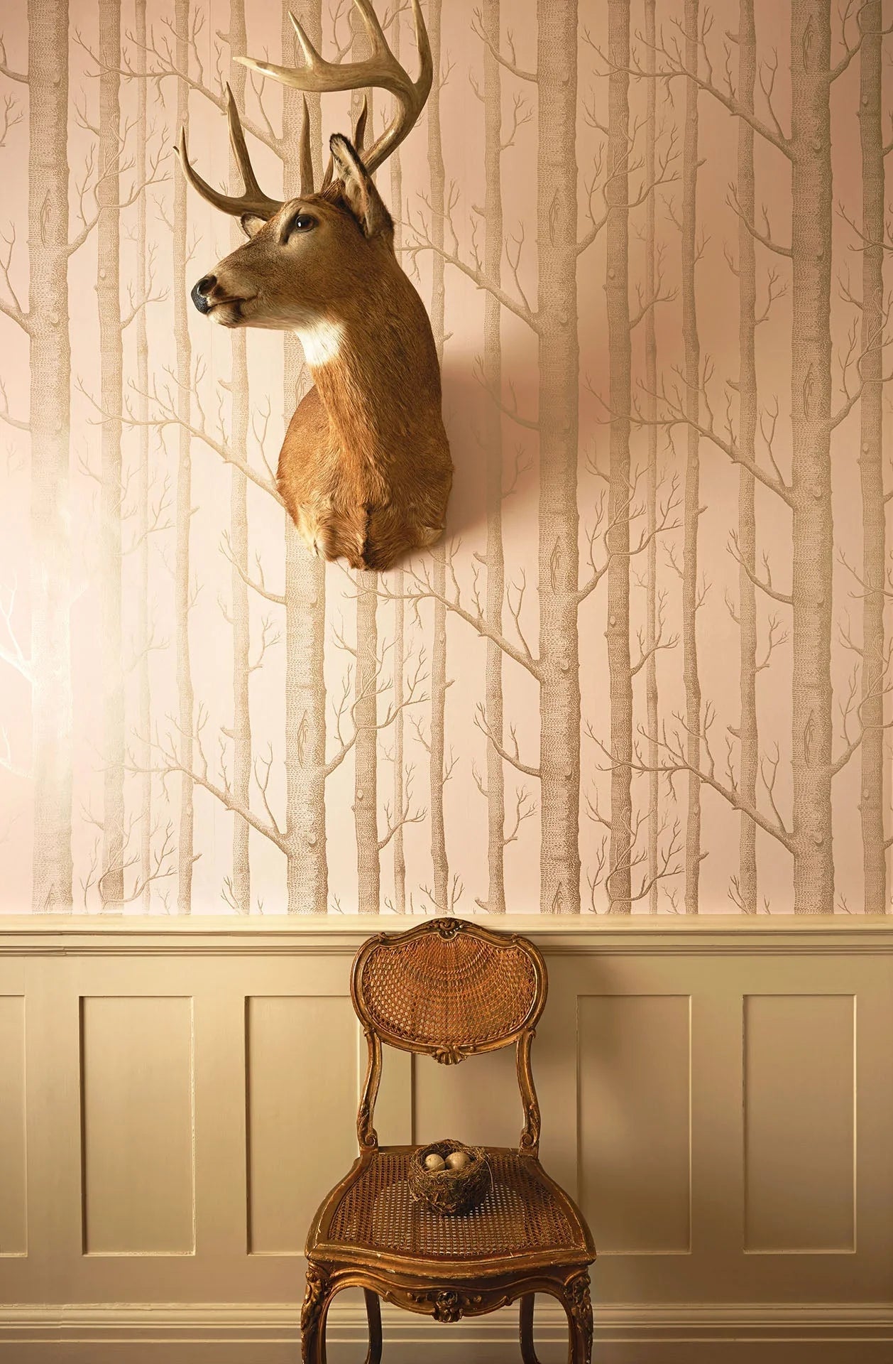 Cole & Sons Whimsical Woods