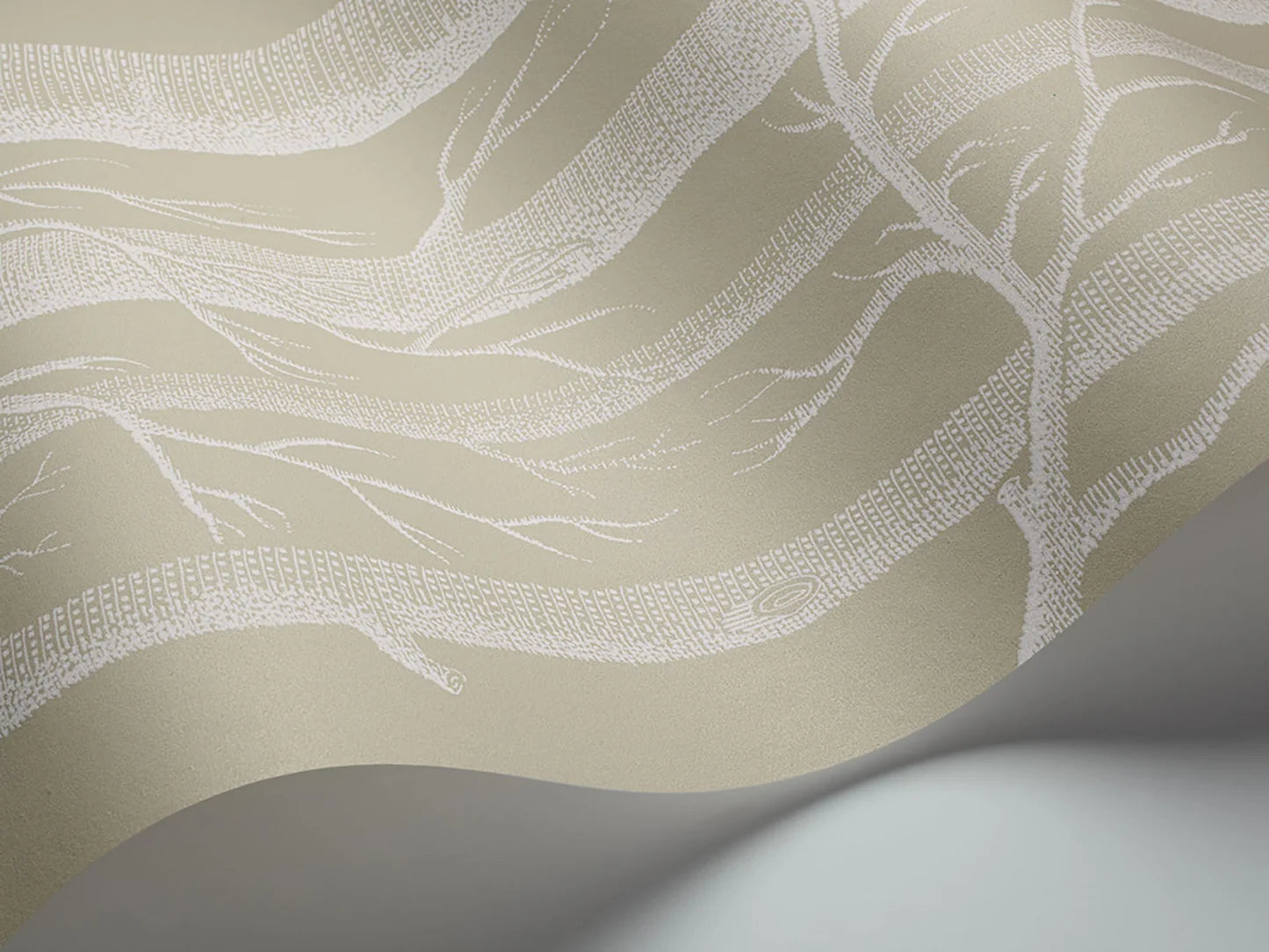 Cole & Sons Whimsical Woods