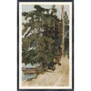 VINTAGE - TREESCAPE WALL ART PRINT, 1886 - Reimagine Designs - Art, new, Wall Art