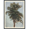 VINTAGE TREE STUDY ART PRINT, 1855 - Reimagine Designs - Art, new, Wall Art