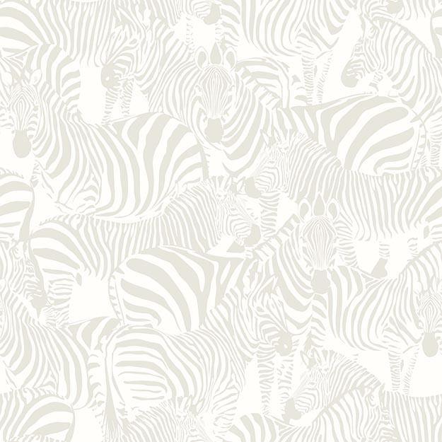 Treasure 6000 (Double Roll) - Reimagine Designs - 
