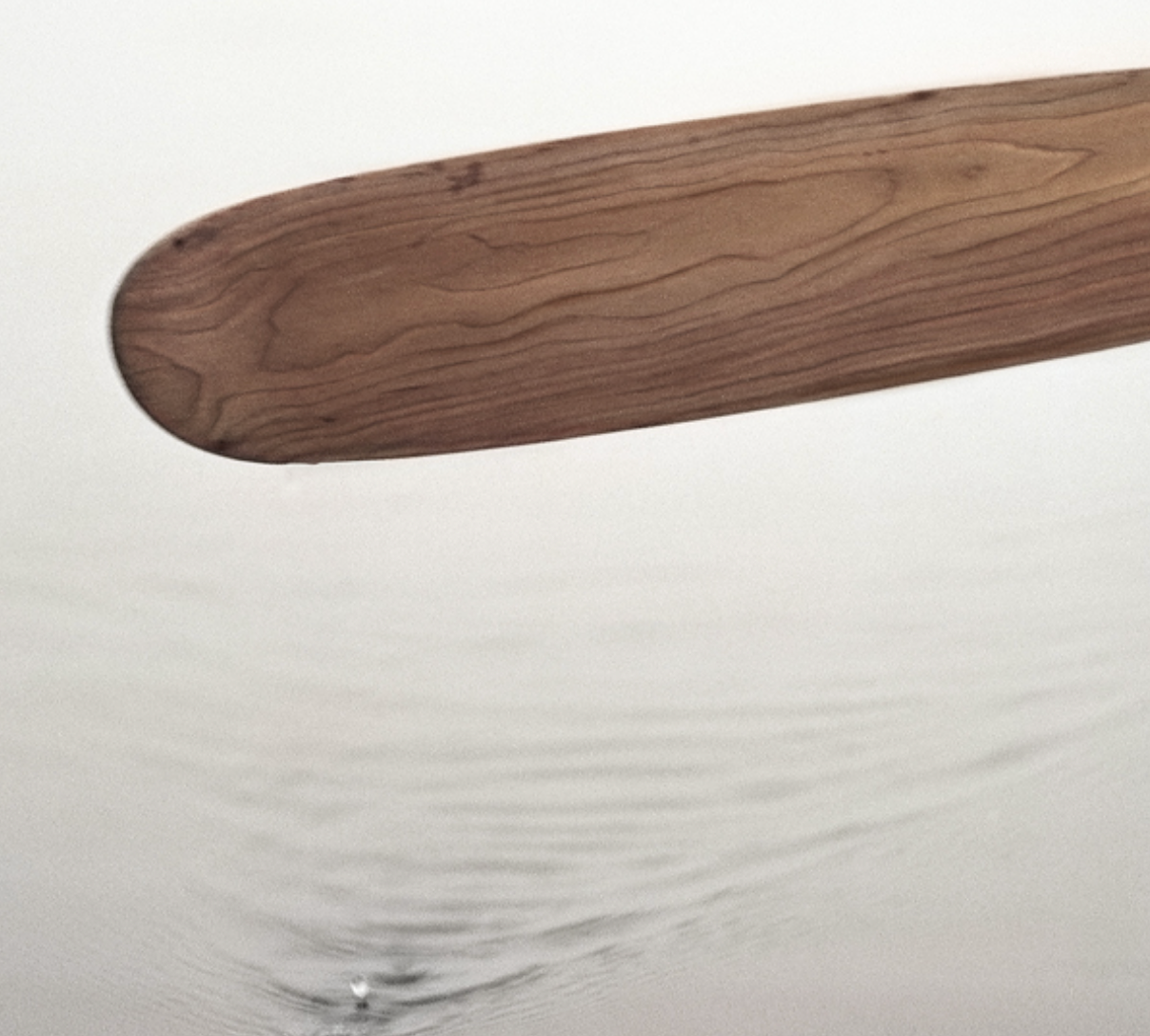 The Paddle Wall Art