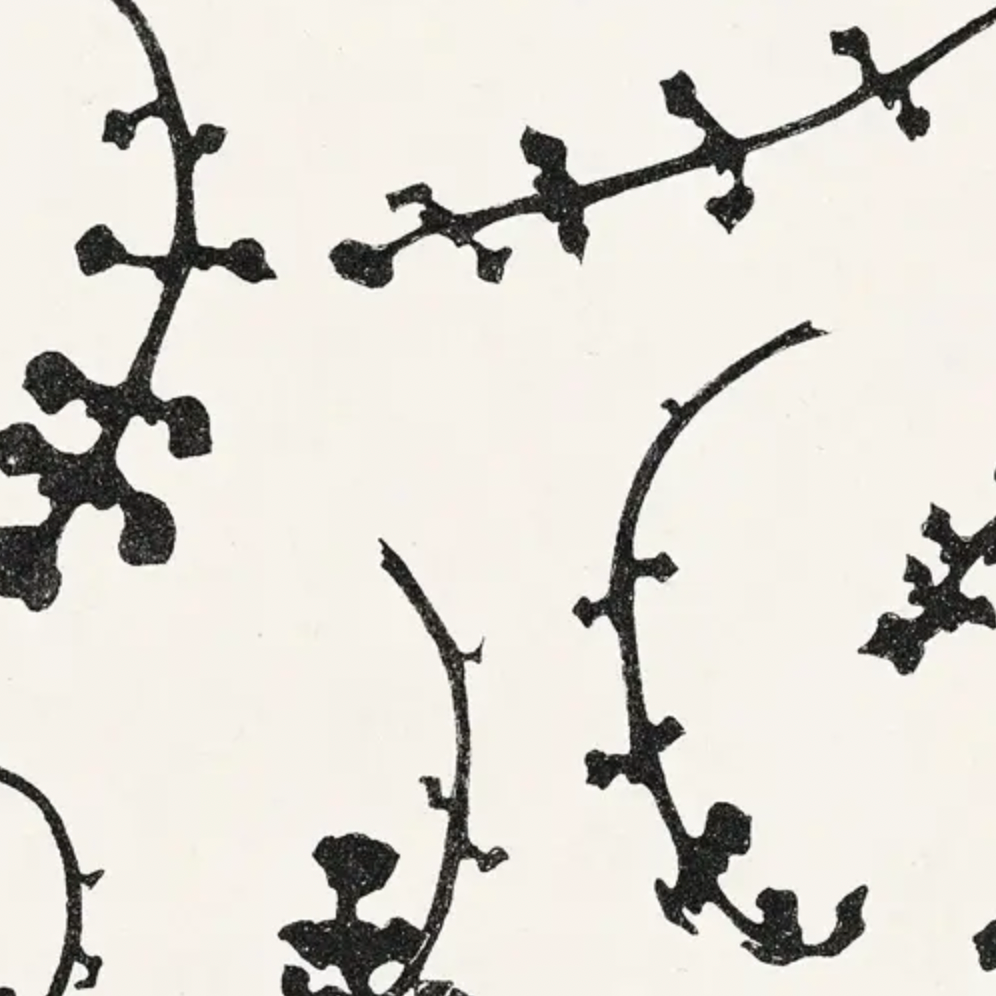 De Gragg, Plant Study, 1990 Wall Art